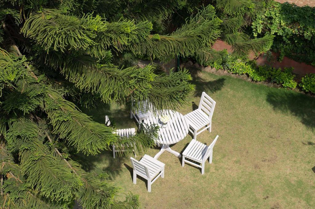 Swayambhu View Guest House Katmandu Dış mekan fotoğraf