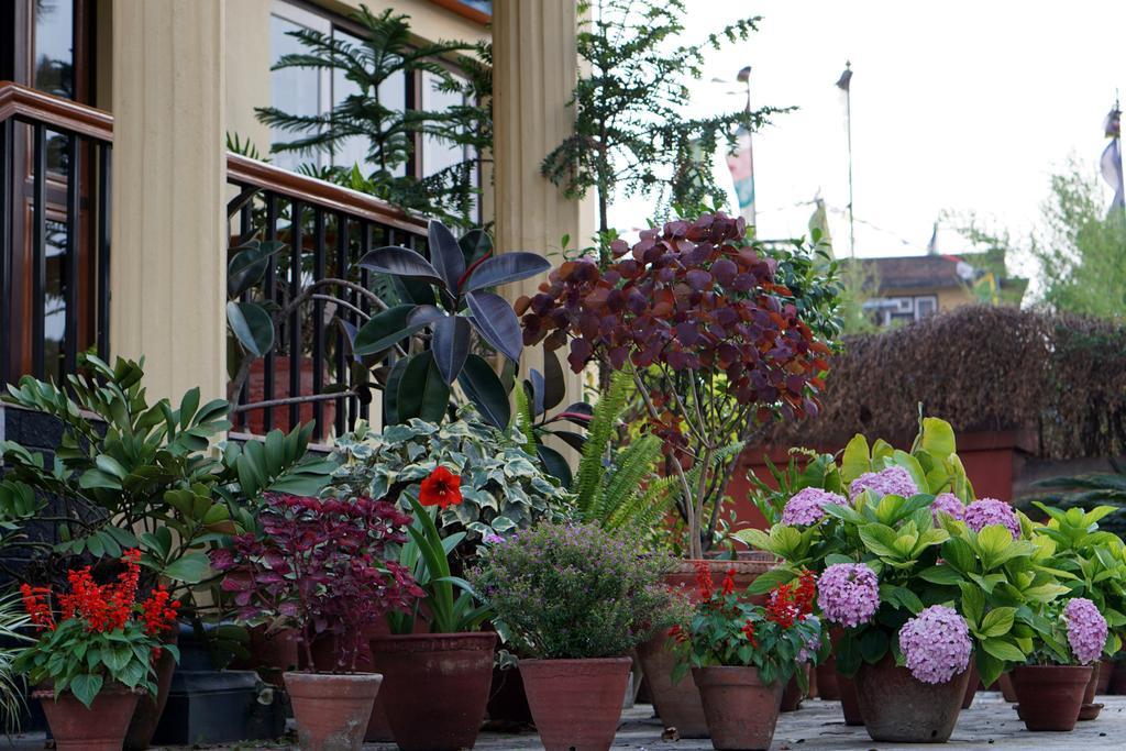 Swayambhu View Guest House Katmandu Dış mekan fotoğraf